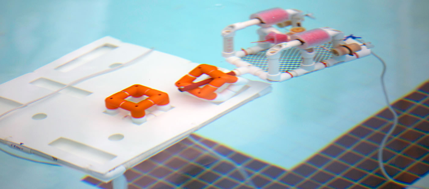 Robots to invade Camana Bay pool